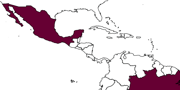 map of Heimbra bicolor     Subba Rao, 1978